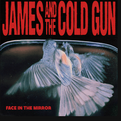 Face in the Mirror by James and the Cold Gun